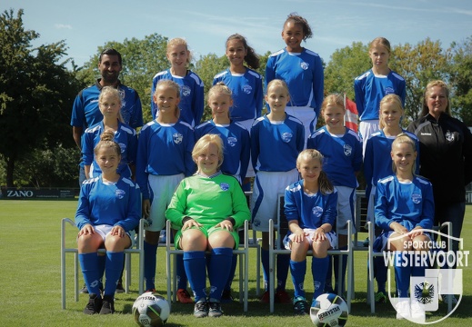 2018-2019